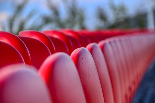 库里与斯蒂 库里与斯蒂