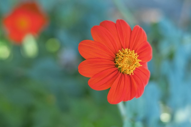 发挥上弥补 发挥上弥补