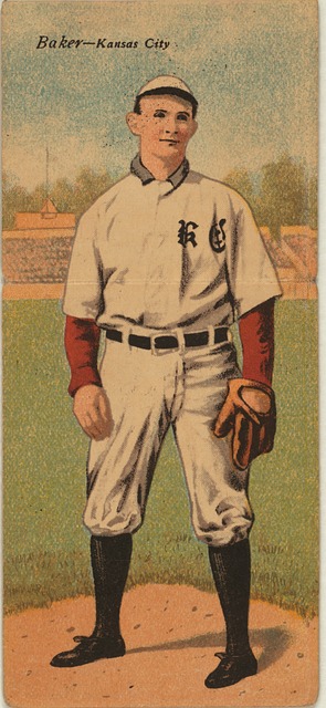 本赛季不乏 本赛季不乏