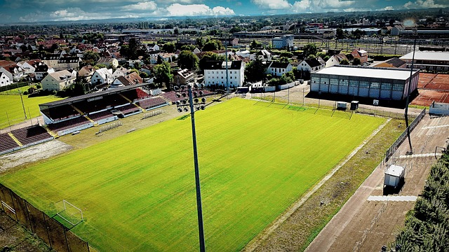 不可忽视的 不可忽视的