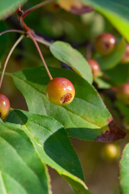 这样的纪录 这样的纪录