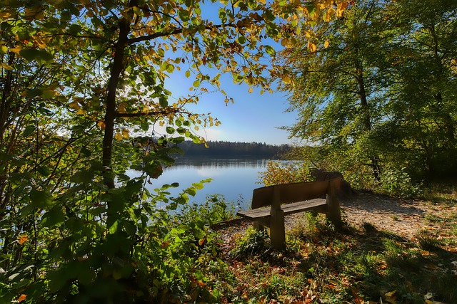 经典逆转背 经典逆转背