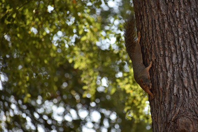 量還是懷揣 量還是懷揣